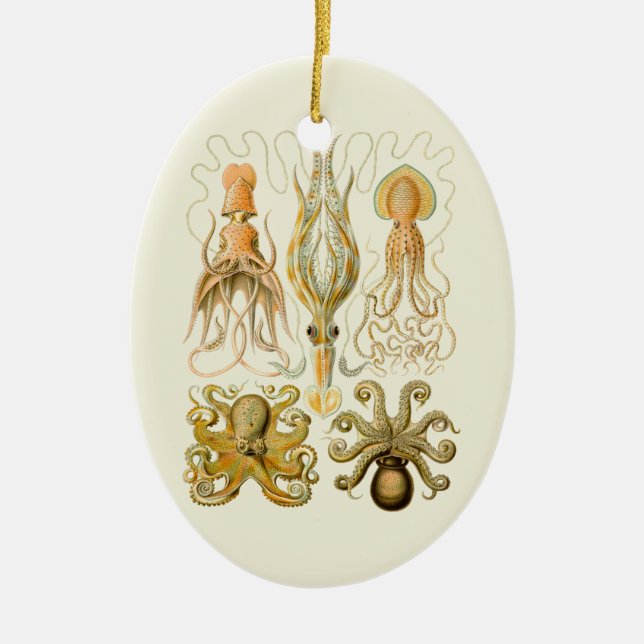 Cephalopod Octopus Squid Marine Nature Ceramic Ornament (Front)