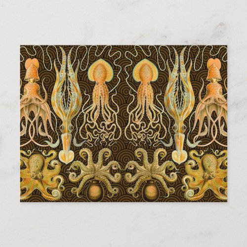 Cephalopod Octopus Squid Marine Nature Postcard