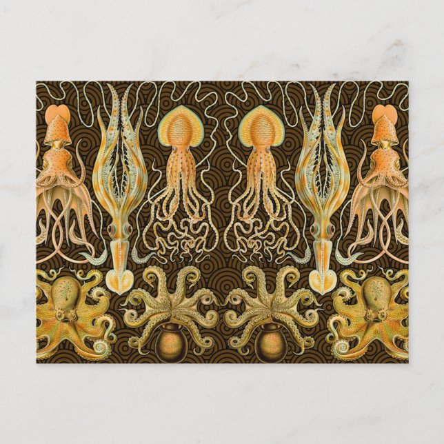 Cephalopod Octopus Squid Marine Nature Postcard (Front)