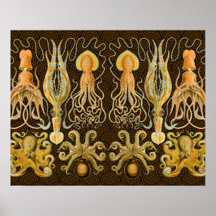 Cephalopod Octopus Squid Marine Nature Poster