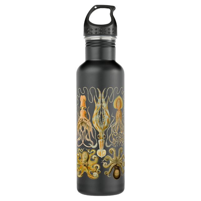 Cephalopod Octopus Squid Marine Nature Stainless Steel Water Bottle (Front)