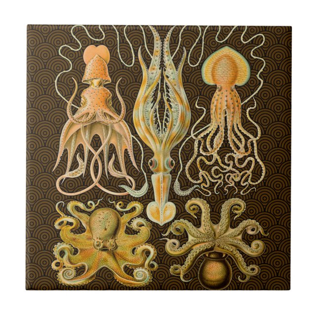 Cephalopod Octopus Squid Marine Nature Tile (Front)