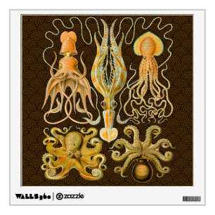 Cephalopod Octopus Squid Marine Nature Wall Sticker