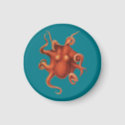 Cephalopoda Magnet