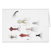 Cephalopodified (Front Horizontal)