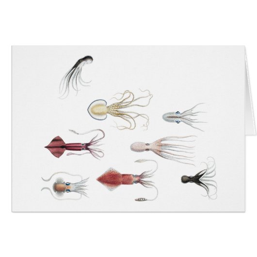 Cephalopodified Cards (Front Horizontal)