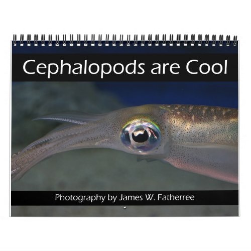 Cephalopods are Cool Calendar