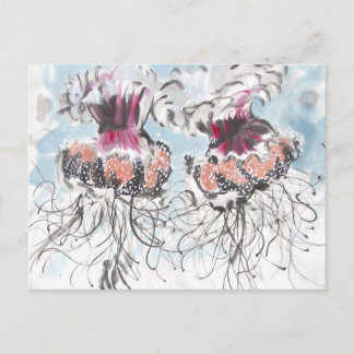 Cephea Jellyfish Detail Postcard
