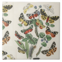 ceramic 6 inch tile with butterflies