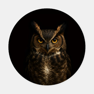 Ceramic coasters with Golden Eye Owl