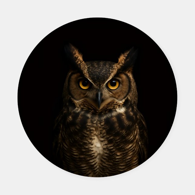 Ceramic coasters with Golden Eye Owl (Single)