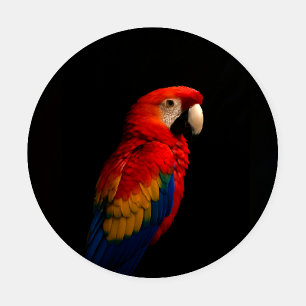 Ceramic coasters with Scarlet Parrot