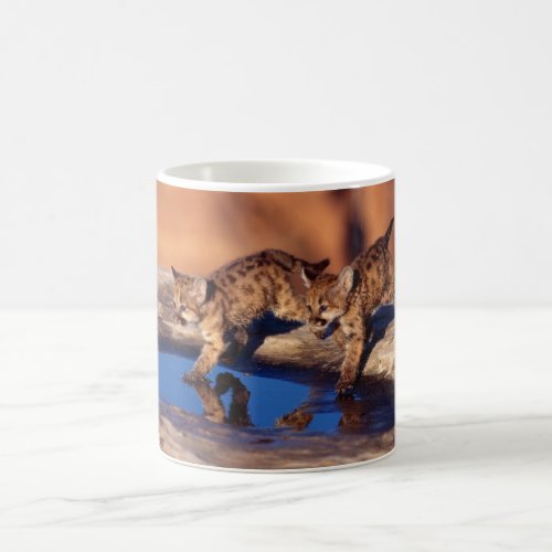 Ceramic Coffee Mug_Cougar Cubs Coffee Mug