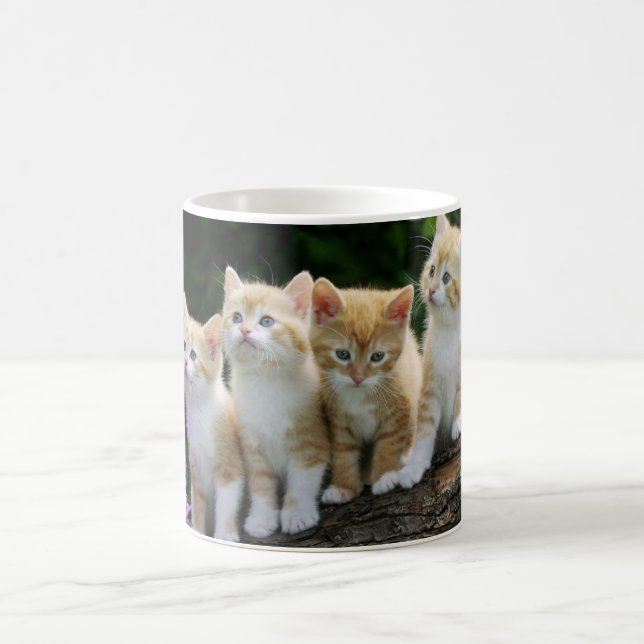 Ceramic Coffee Mug-Kittens Mug (Center)