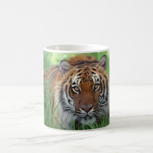 Ceramic Coffee Mug_Tiger Coffee Mug