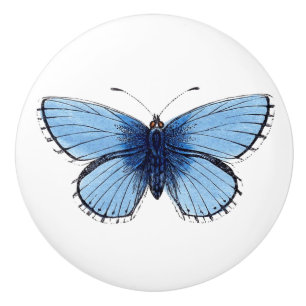 Ceramic Knob - Blue Butterfly
