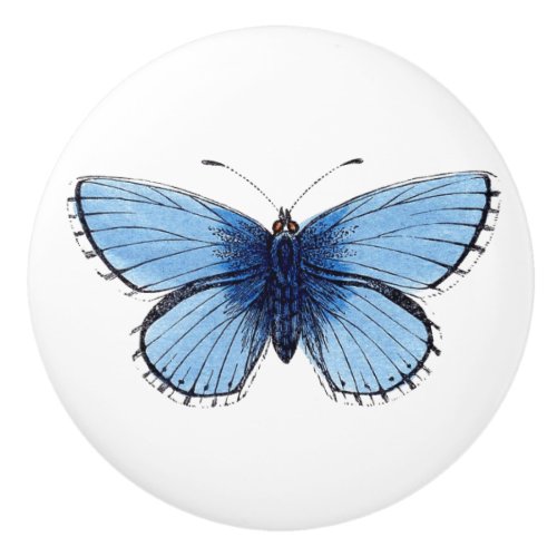 Ceramic Knob _ Blue Butterfly