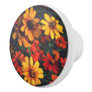 Ceramic Knob Yellow Orange Daisy Floral Botanical