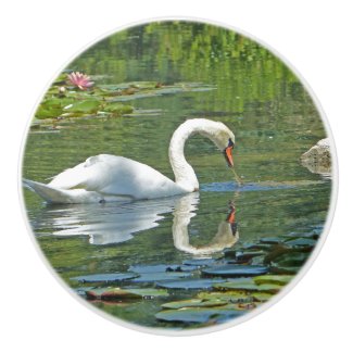 ceramic knobs, 