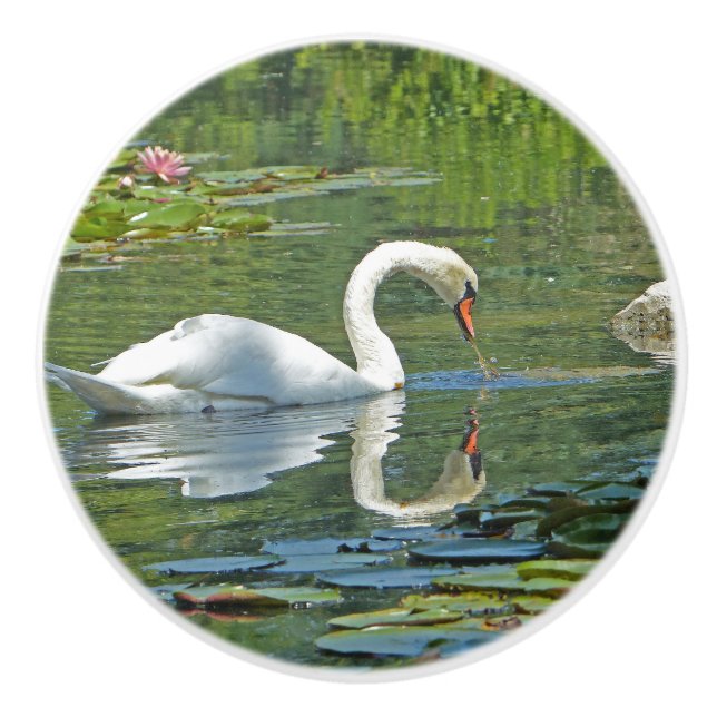 ceramic knobs, "SWAN ON LILY POND" Knob (Front)