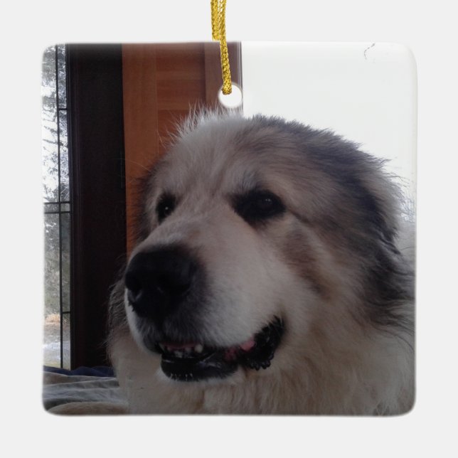 Ceramic Ornament (Front)