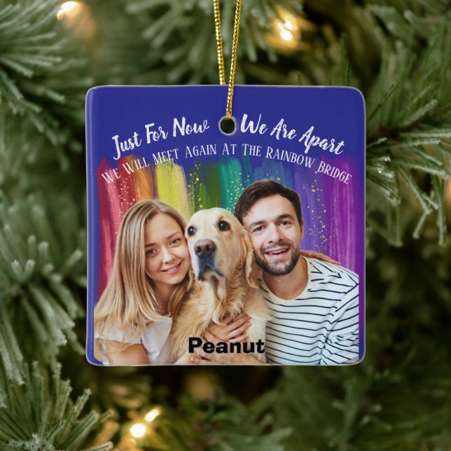 Ceramic Ornament with Pet Memorial Photo Tribute (Tree)