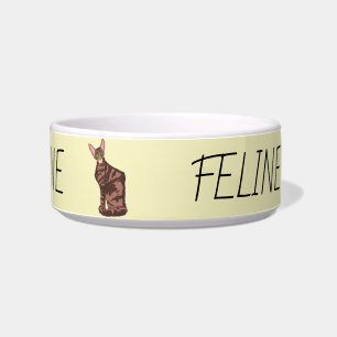 Ceramic Pet Bowl