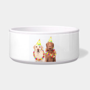 Ceramic Pet Bowl
