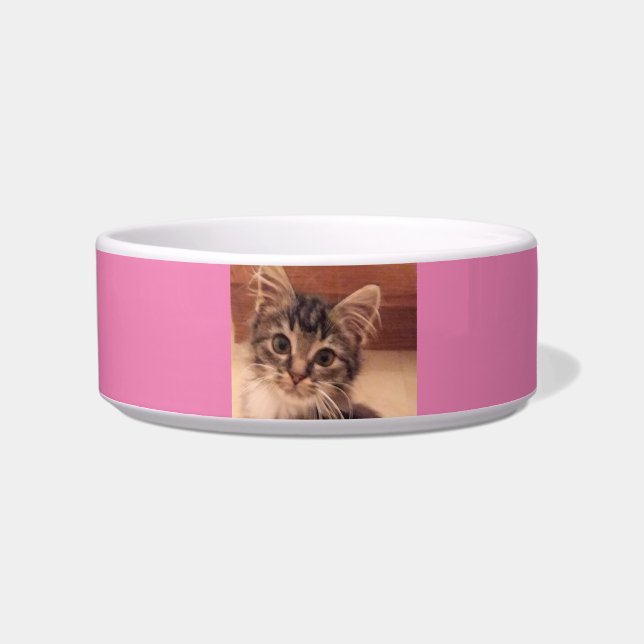 Ceramic Pet Bowl (Front)