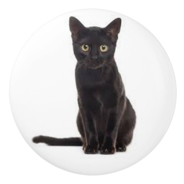 Ceramic Pull with a Black Cat (Front)
