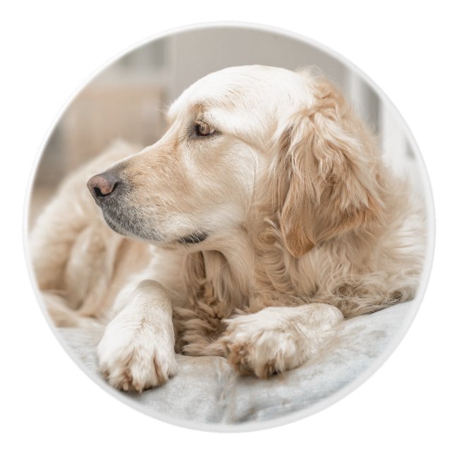 Ceramic Pull with portrait of Golden Retriever (Front)