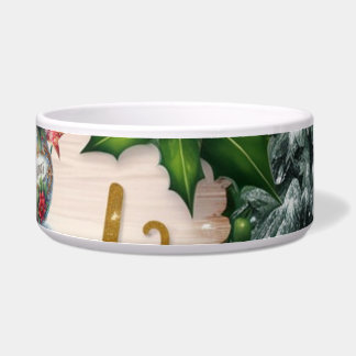 Ceramic slab for animals bowl