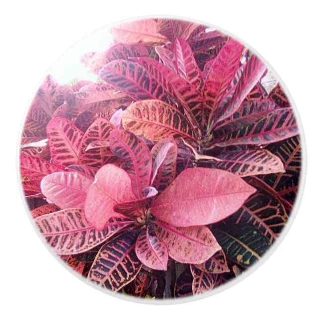 Ceramic splash colors pull (Front)