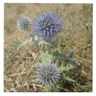 Ceramic square thistle blue flower tile