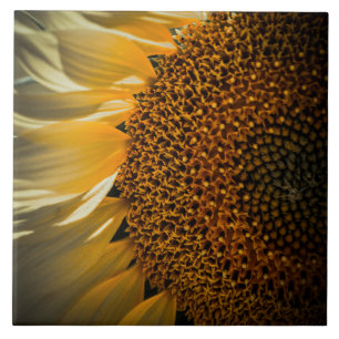 Ceramic Tile