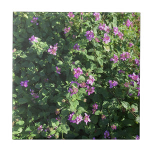 Ceramic Tile (4.25" x 4.25")