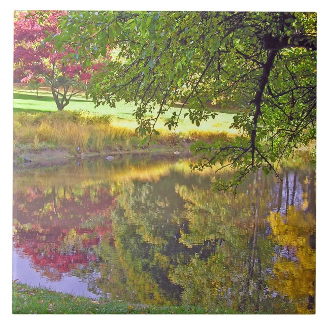 CERAMIC TILE/BEAUTIFUL COLORS REFLECTED IN POND TILE (Front)