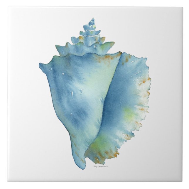 Ceramic Tile - Blue Conch Seashell (Front)