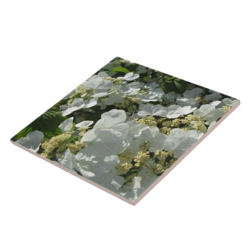 Ceramic Tile _ Doublefile Viburnum I