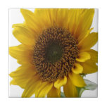 Ceramic Tile Floral Sunflower<br><div class="desc">Ceramic Tile Something for everyone offers customized personalized tiles especially designed to enhance the beauty of your home. This uniquely designed tile guarantees a beautiful finish to all your home decor tile designs. While you are here already you may want to view other related bathroom items such as, shower curtain...</div>
