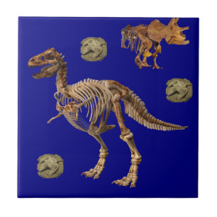 Ceramic Tile Fossil