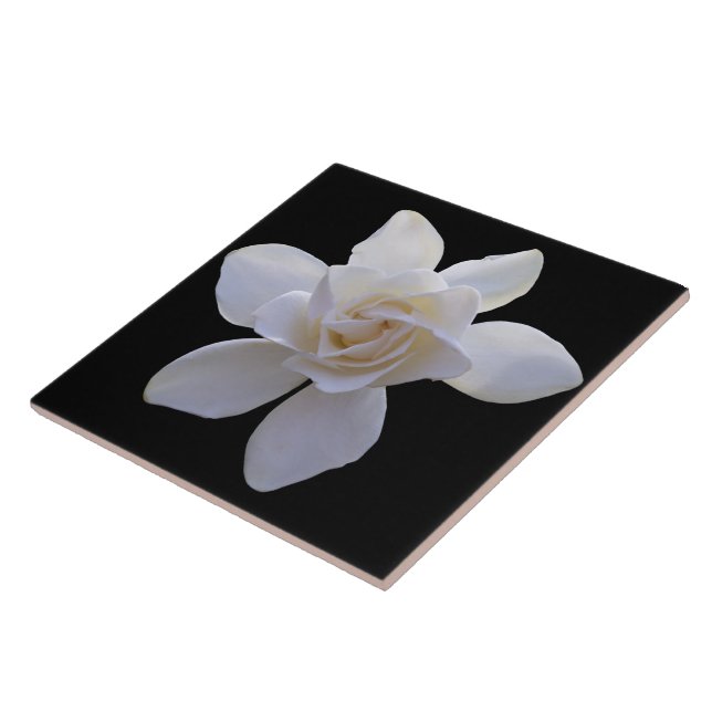 Ceramic Tile - Gardenia on Black (Side)