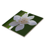 Ceramic Tile - Gardenia on Stripes