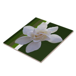 Ceramic Tile - Gardenia on Stripes
