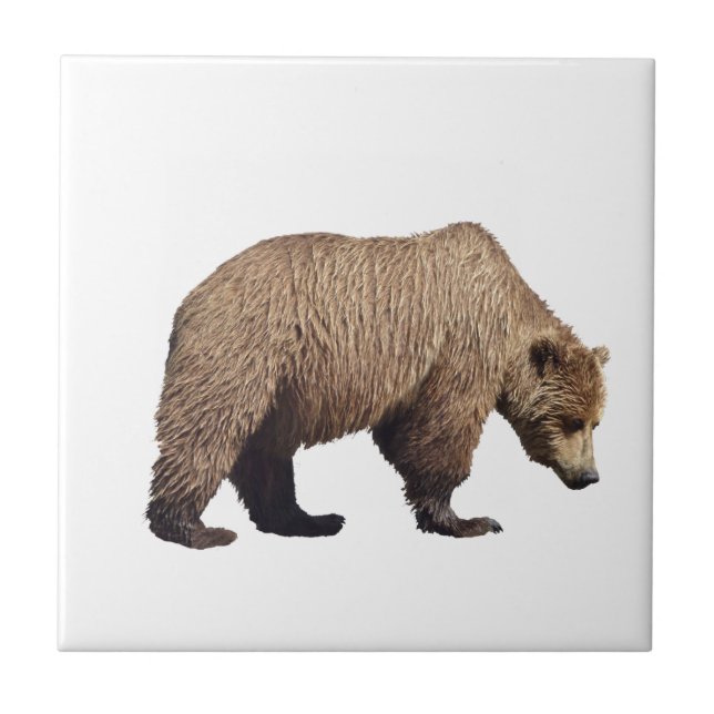 Ceramic Tile of grizzly bear (Front)