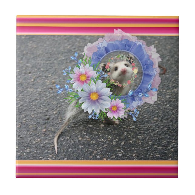 Ceramic Tile Opossum Floral Stripe (Front)