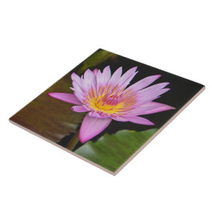 CERAMIC TILE/ PINK LOTUS BLOSSOM/YELLOW CENTER TILE