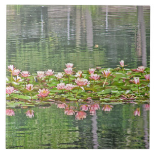 CERAMIC TILE/ PINK LOTUS BLOSSOMS/POND REFLECTIONS CERAMIC TILE