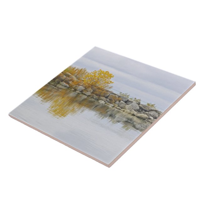 CERAMIC TILE/ROCK WALL & GOLDEN TREE REFLECTED IN TILE (Side)