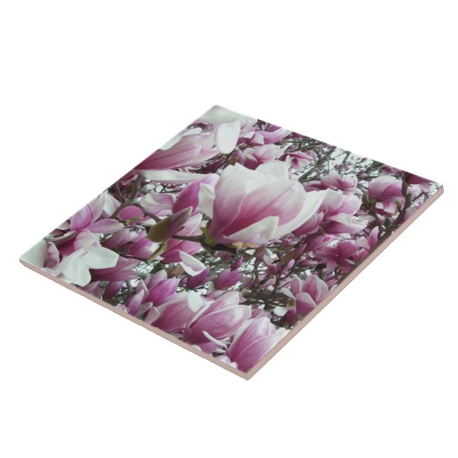 Ceramic Tile - Saucer Magnolia (Side)